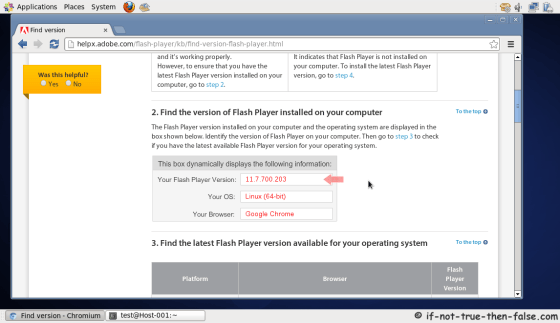 Chromium running on CentOS 6.4 (Adobe Flash Test Page)