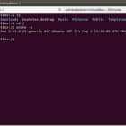 Linux上有哪些好的终端模拟器?