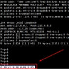 Linux有问必答：如何检查我是否处于一个运行着的screen会话中
