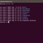 如何在终端下以后台模式运行Linux程序