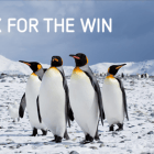 试试只用U盘加载Linux系统