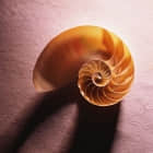 Shell 脚本面试问题大全