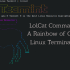 lolcat ：一个在 Linux 终端中输出彩虹特效的命令行工具