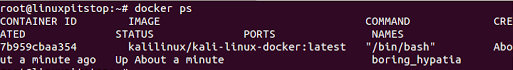 Docker Kali