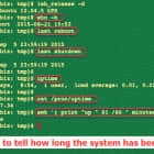 使用 tuptime 工具查看 Linux 服务器系统的开机时间的历史和统计