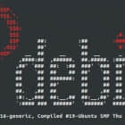 用 screenfetch 和 linux_logo 显示带有酷炫 Linux 标志的基本硬件信息