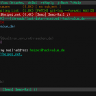 如何在 Mutt 邮件客户端中使用密文密码