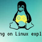 Linux 游戏完全指南