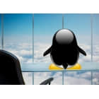 IT 运行在云端，而云运行在 Linux 上