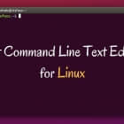 Linux 命令行下的最佳文本编辑器
