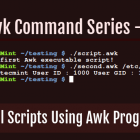 awk 系列：如何使用 awk 语言编写脚本