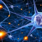 使用 Ganglia 对 Linux 网格和集群服务器进行实时监控