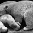 浅述内核中“挂起到空闲”的实现