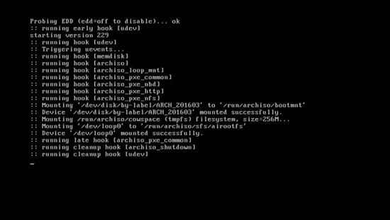 Booting into Arch Linux live version