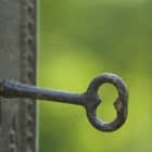 在 Linux 中修改 MySQL 或 MariaDB 的 Root 密码