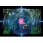 使用 badIPs.com 保护你的服务器，并通过 Fail2ban 报告恶意 IP