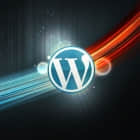 WPSeku：一个找出 WordPress 安全问题的漏洞扫描器