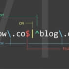 Bash 脚本：正则表达式基础篇