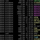 如何在 Linux/Unix 的 Bash 中打开或关闭 ls 命令颜色显示