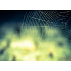 什么是网络爬虫？网络爬虫如何工作？