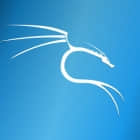 Kali Linux 是什么，你需要它吗？