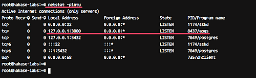 Gogs is listening on the network interface