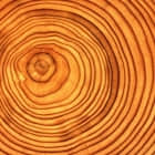 如何使用 syslog-ng 从远程 Linux 机器上收集日志