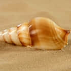 Python Plumbum 简介：用 Python 来写脚本