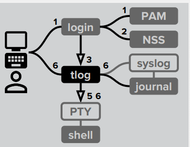 Tlog working process