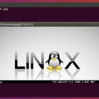 如何在终端中显示图片