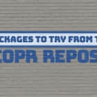 2018 年 6 月 COPR 中值得尝试的 4 个很酷的新项目