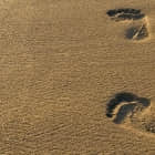 使用 Ptrace 去拦截和仿真 Linux 系统调用