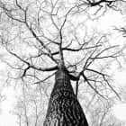 在 Linux 上操作目录