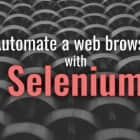 使用 Selenium 自动化 Web 浏览器