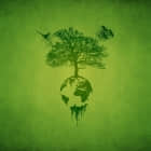 Caffeinated 6.828：实验 3：用户环境