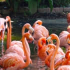 用户、组及其它 Linux 特性