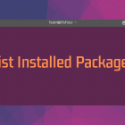 如何列出 Ubuntu 和 Debian 上已安装的软件包