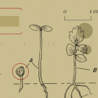 3 款用于学术出版的开源工具