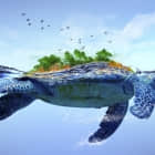 在 awk 中怎么使用循环