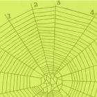 如何使用 Flask 编写 Python Web API