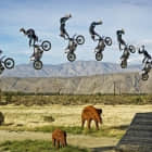 使用 Linux seq 命令生成数字序列