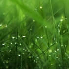 使用这个 Twitter 客户端在 Linux 终端中发推特