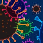 开源软件在应对新冠病毒中的贡献