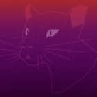 如何将 Ubuntu 18.04 LTS/19.10 升级到 Ubuntu 20.04 beta