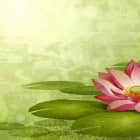 为何你的 Python 代码应是扁平与稀疏的