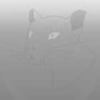 Ubuntu 20.04 LTS 下载及新特性