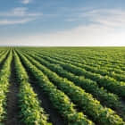 使用这个 Python 工具对网站 SEO 问题进行自动化测试