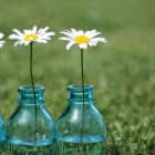 Kubernetes 资源配额使用指南