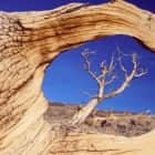 git stash 命令实用指南