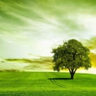 使用 Git 工作树对你的代码进行自由实验